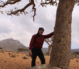 D. Gary Young leaning on a sacred frankincense tree.