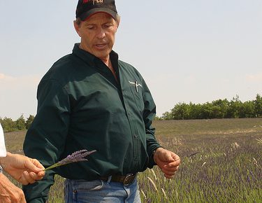 Gary Young inspects lavender fields in France
